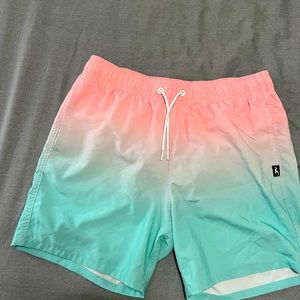 Hollister swim shorts